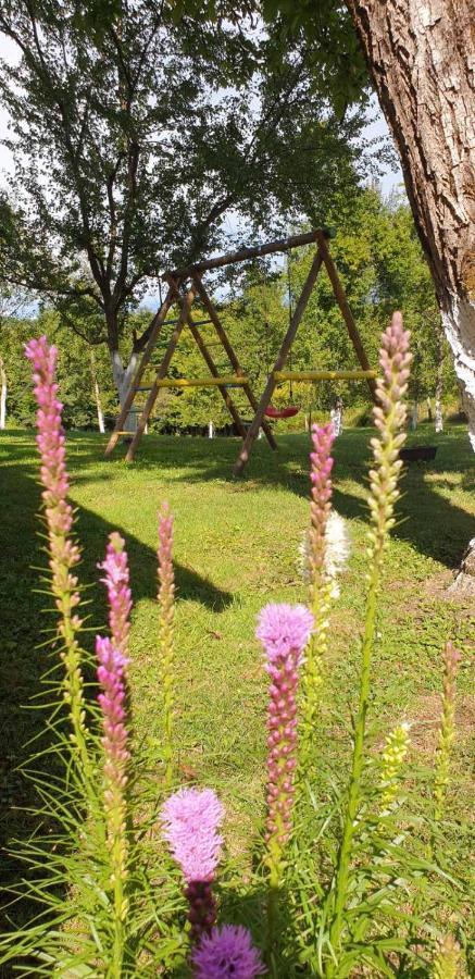 Holiday Home, Apartman Obajdin Slunj Esterno foto