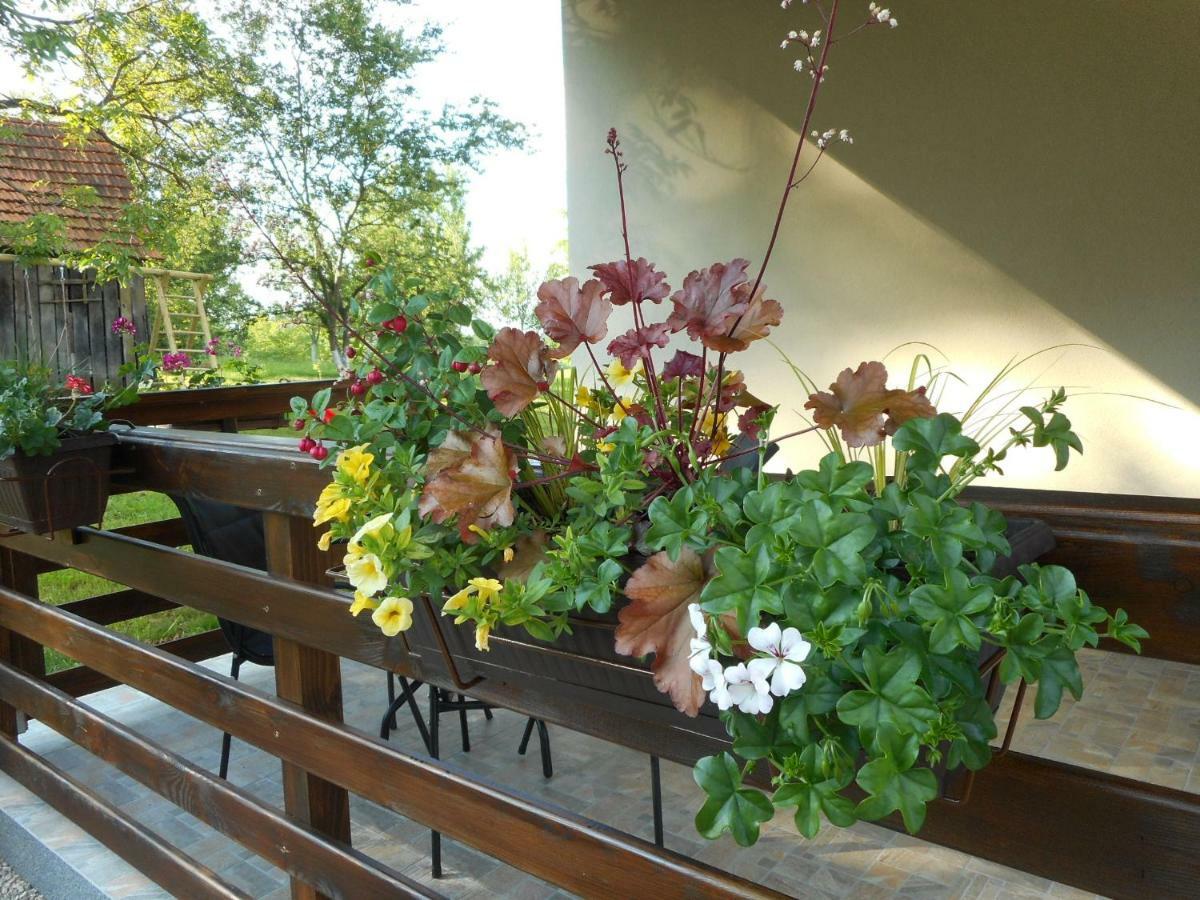 Holiday Home, Apartman Obajdin Slunj Esterno foto